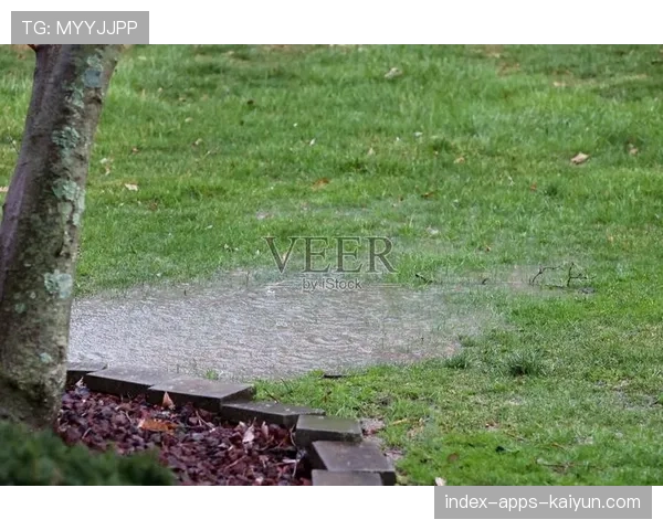 草坪下的排水系统能应对几小时暴雨,室外草坪排水怎么做 草坪下的排水系统能应对几小时暴雨,室外草坪排水怎么做